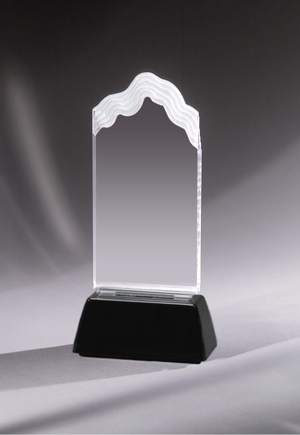 Acrylic Award