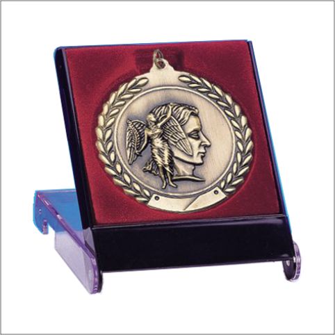 Lined Medal Presentation / Display Case