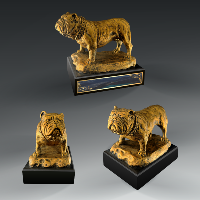 GOLD BULLDOG, 7" TALL on BLACK BASE