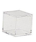 Clear Golf Ball Ball Display Case